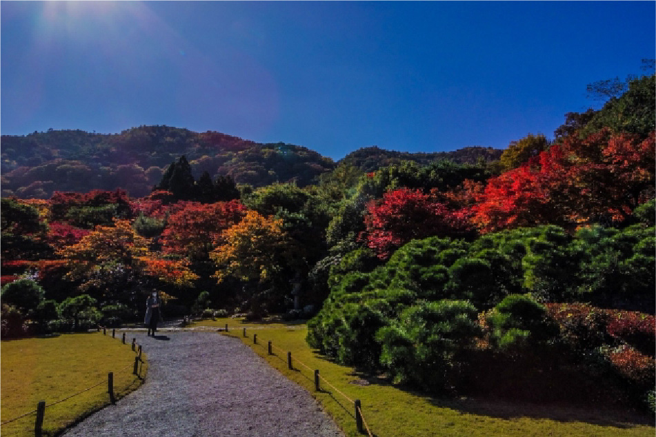 大河内山庄庭园