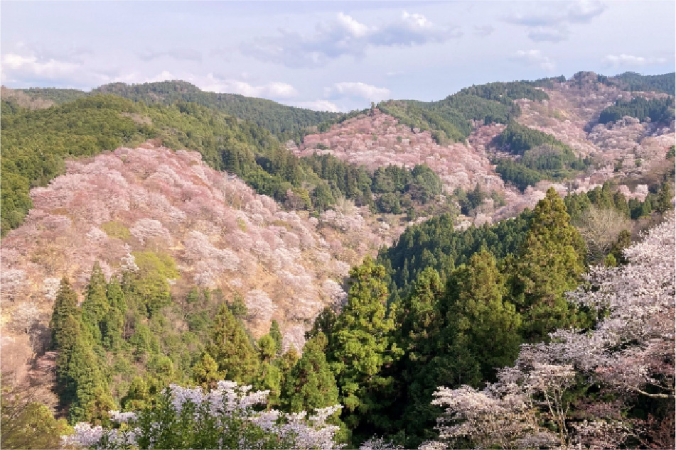 Mt. Yoshino