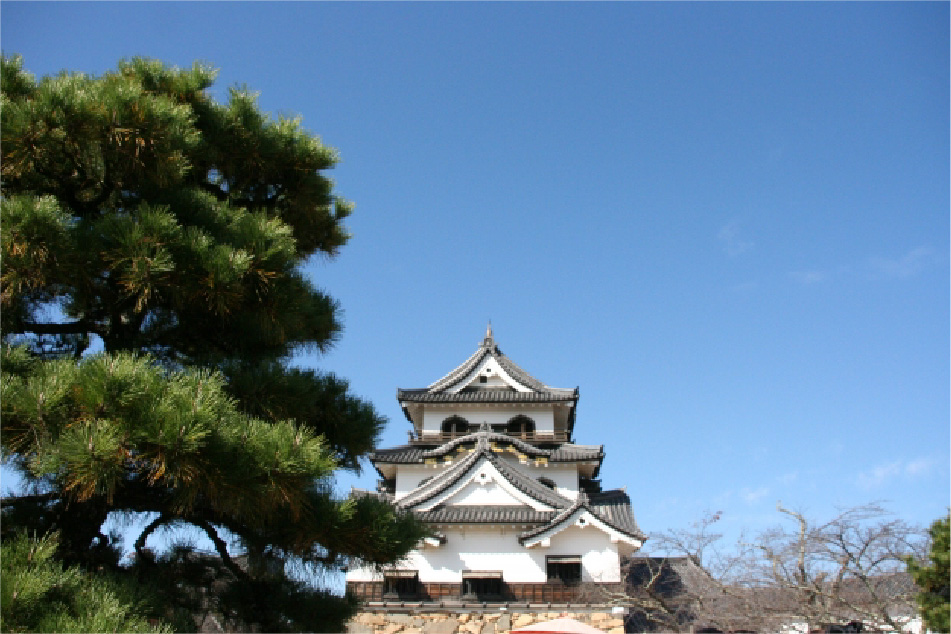 Hikone Castle